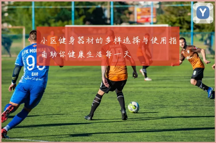 小区健身器材的多样选择与使用指南助你健康生活每一天
