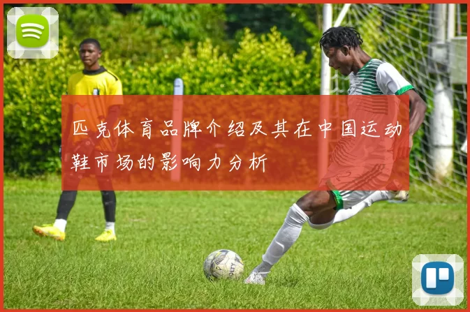 匹克体育品牌介绍及其在中国运动鞋市场的影响力分析